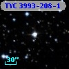 TYC 3993-208-1