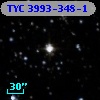 TYC 3993-348-1