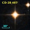 CD-28   487