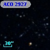 ACO  2927