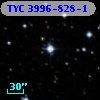 TYC 3996-828-1
