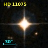 HD  11075