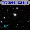 TYC 3996-1289-1