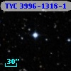 TYC 3996-1318-1