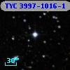 TYC 3997-1016-1