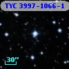TYC 3997-1066-1