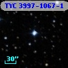 TYC 3997-1067-1