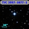 TYC 3997-1077-1