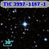 TYC 3997-1187-1