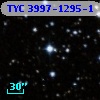 TYC 3997-1295-1