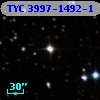 TYC 3997-1492-1