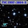 TYC 3997-1664-1