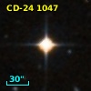 CD-24  1047