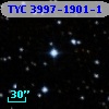 TYC 3997-1901-1