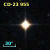 CD-23   955