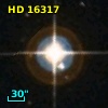 HD  16317