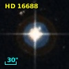 HD  16688