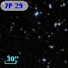 7P 29