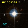 HD 202224