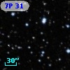 7P 31