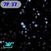 7P 37