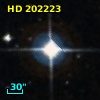 HD 202223
