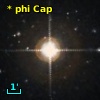 * phi Cap