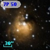 7P 50