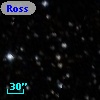 Ross  225