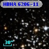 HBHA 6206-11