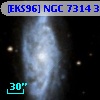 [EKS96] NGC 7314  31