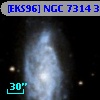 [EKS96] NGC 7314  38