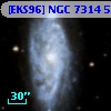 [EKS96] NGC 7314  51