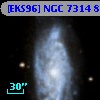 [EKS96] NGC 7314  81