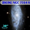 [EKS96] NGC 7314  89