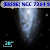 [EKS96] NGC 7314  93