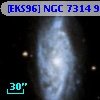[EKS96] NGC 7314  94