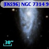 [EKS96] NGC 7314  99