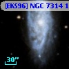 [EKS96] NGC 7314 100