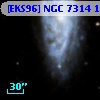 [EKS96] NGC 7314 110
