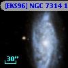 [EKS96] NGC 7314 132