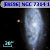 [EKS96] NGC 7314 141