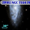 [TP95] NGC  7314  78