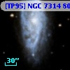 [TP95] NGC  7314  80