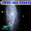 [TP95] NGC  7314 113
