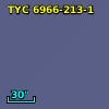 TYC 6966-213-1