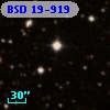 BSD  19-919