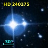 HD 240175
