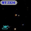 WT 2324