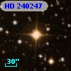 HD 240247